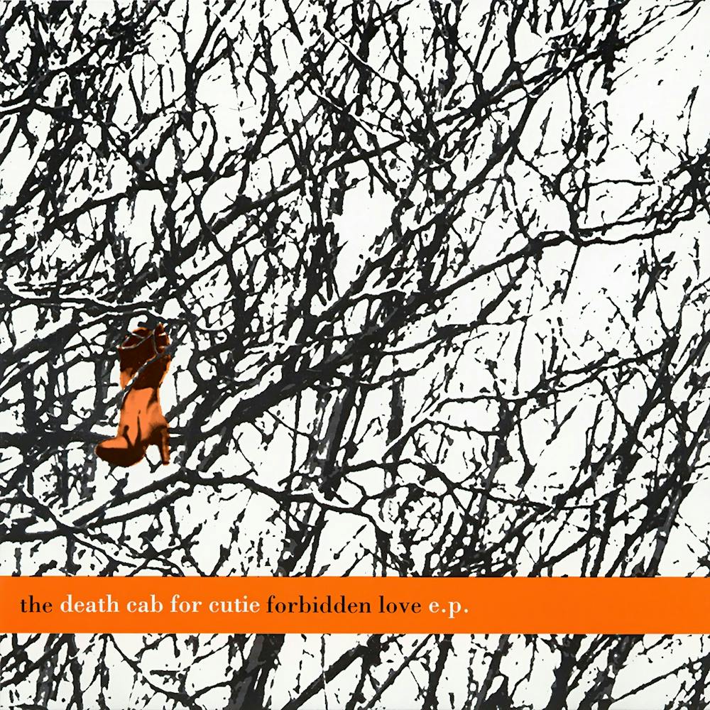 Death Cab For Cutie (14)