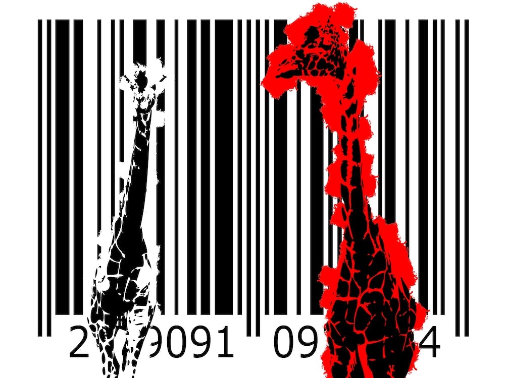 Funny Barcode Animals Art Illustration In Painting Style 083