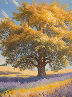 Tree In A Field 3