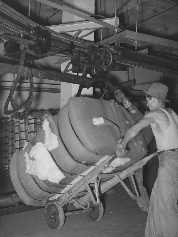 Removing Bale Of Cotton From Conveyer, Compress, Houston, Texas By Russell Lee 1