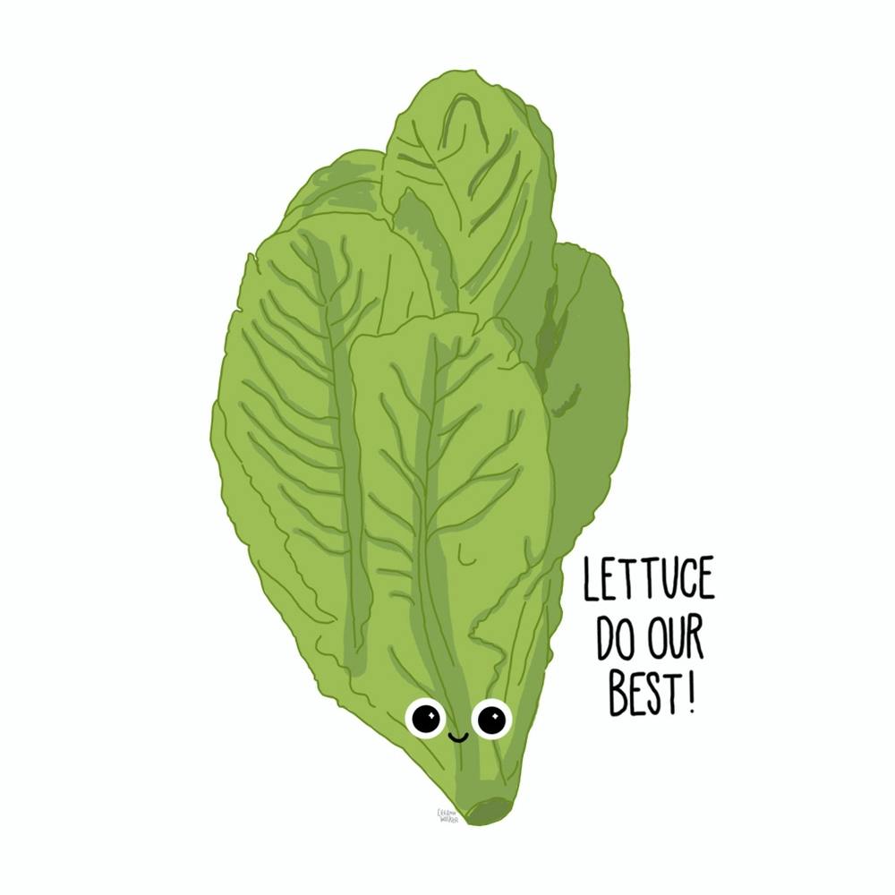 Lettuce Do Our Best!