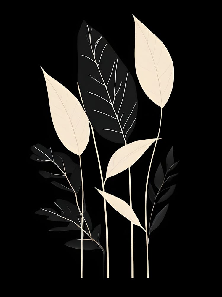 Black And White Leaves