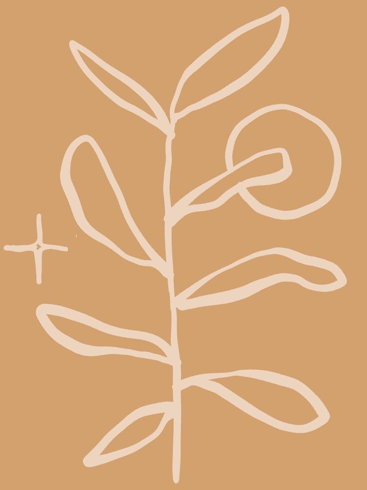 Blatt Und Eine Blume