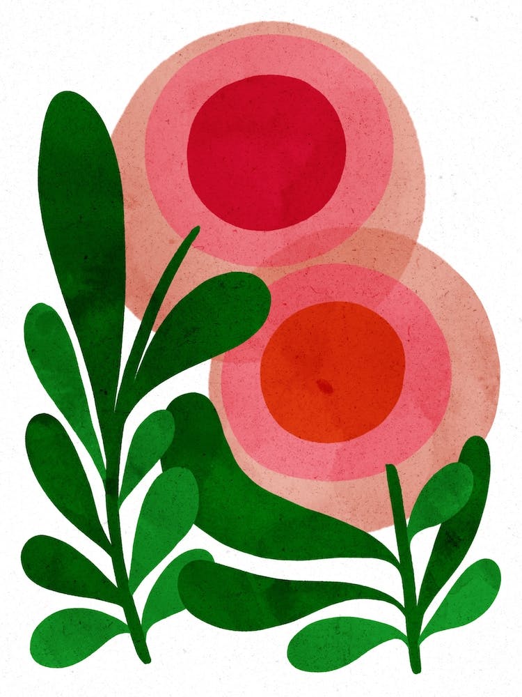 Pink Blooms