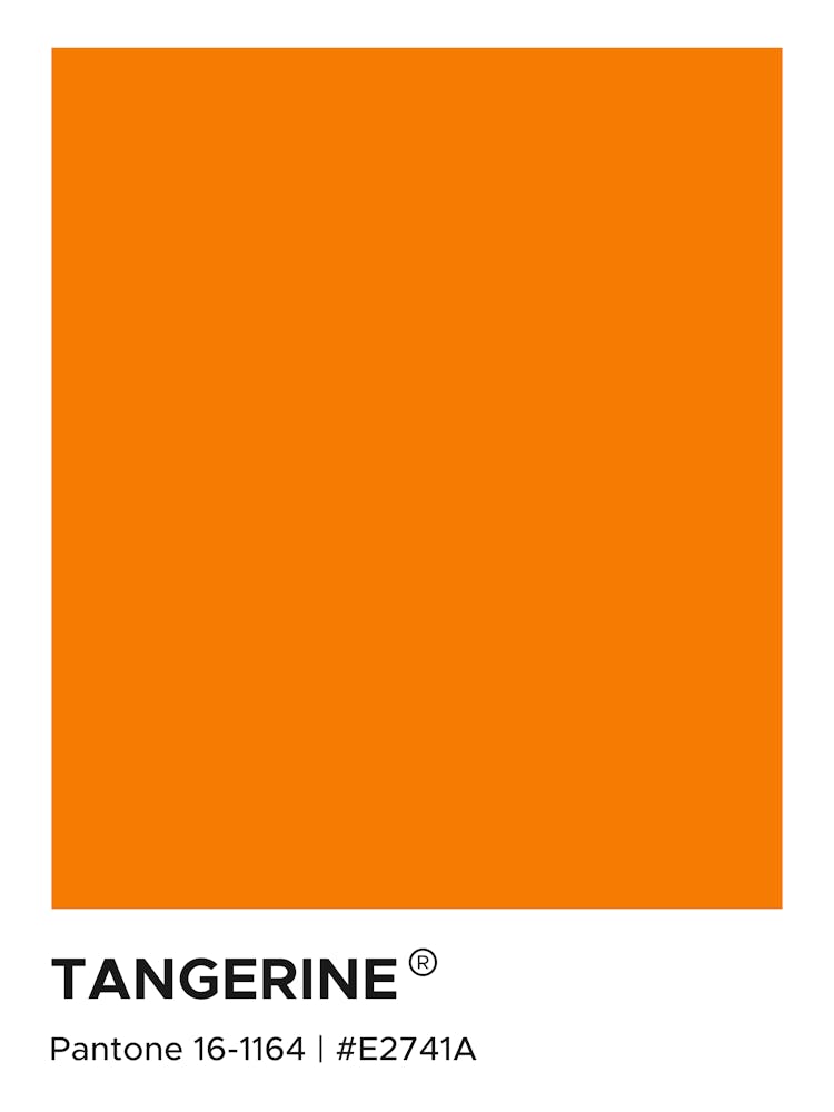 Tangerine Pantone, bold, orange, summers, cool, calm, bright, pantone, swatches, colors, aesthetic, colorful, cute, autumn, nature, cozy
