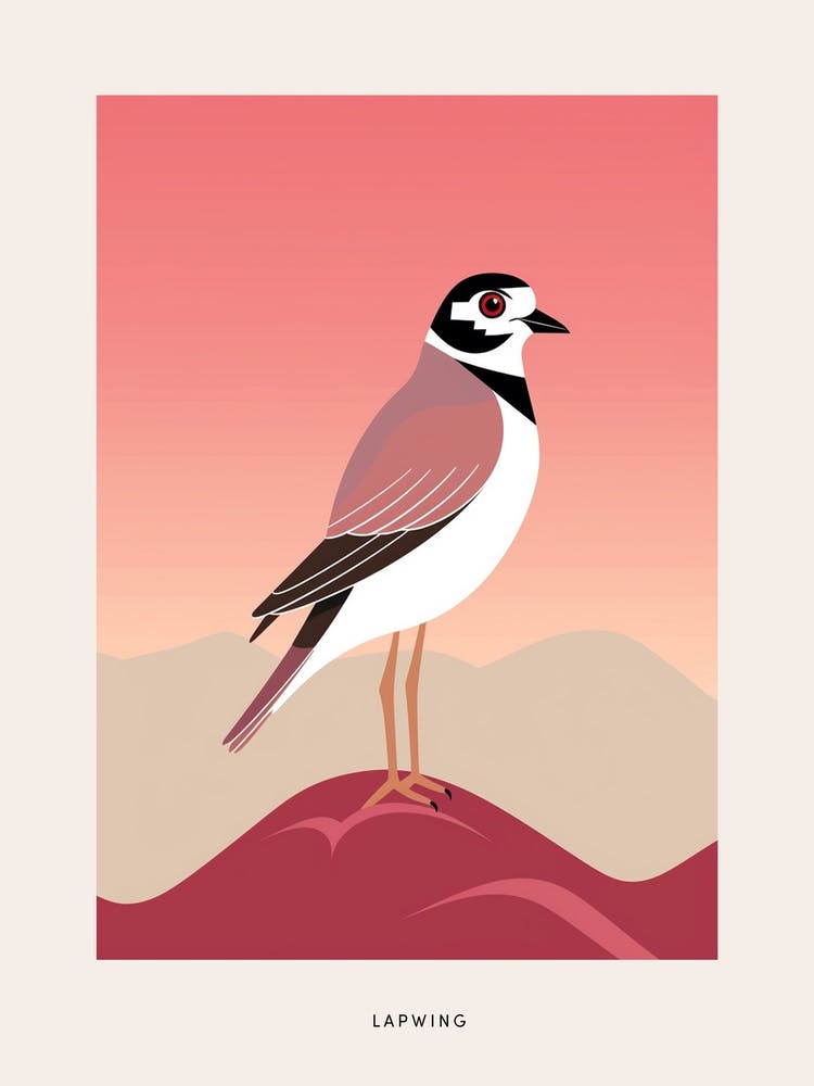 Minimalist Lapwing 3 Bird Poster