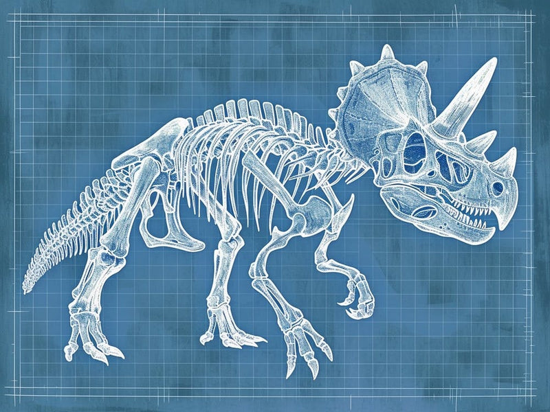 Protoceratops Dinosaur Skeleton Blue Print