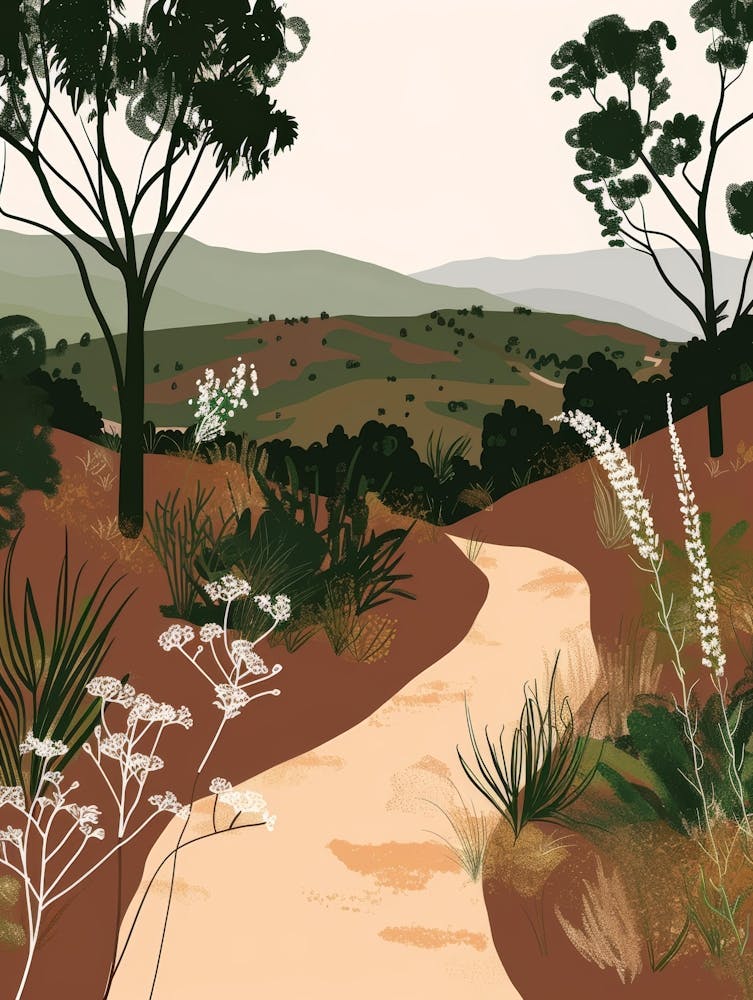 Australian Landscape