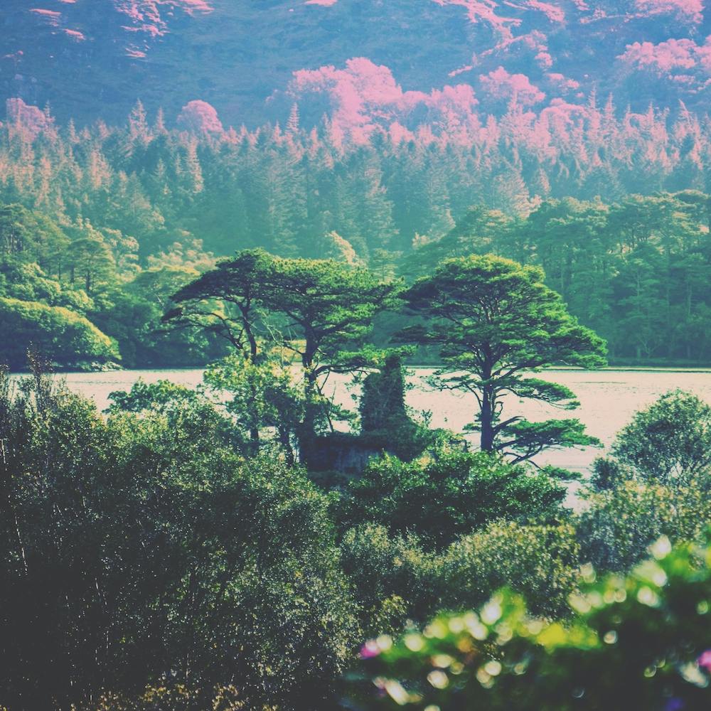 Taller Trees