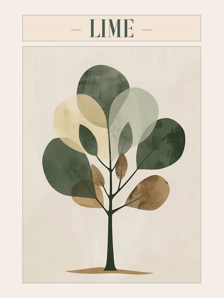 Lime Tree Minimal Japandi Illustration 3 Poster