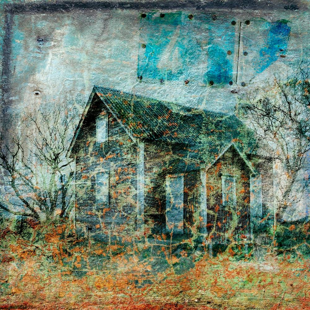 Old House In The Woods