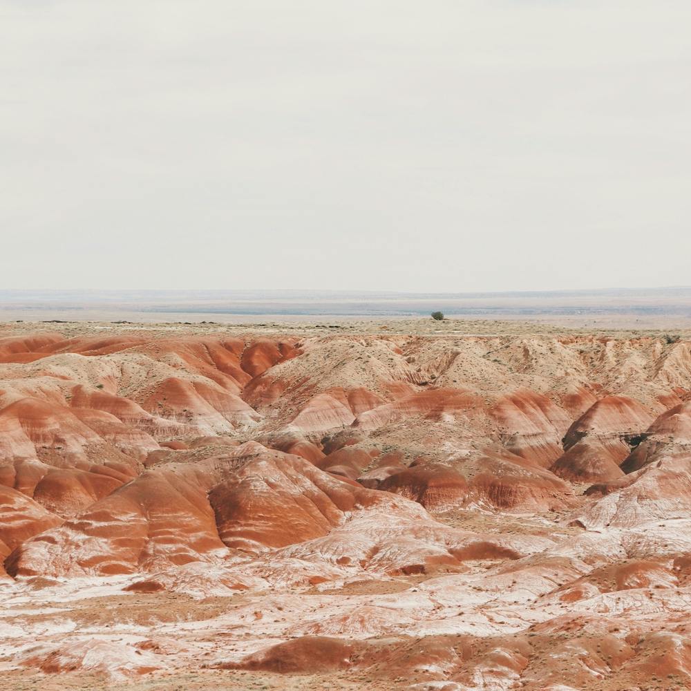Painted Desert Square