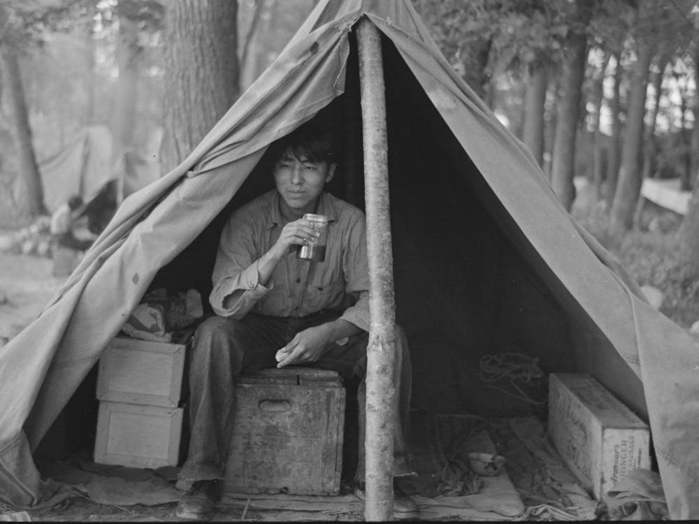 Indian Boy In Blueberry Pickers Camp Near Little Fork, Minnesota By Russell Lee