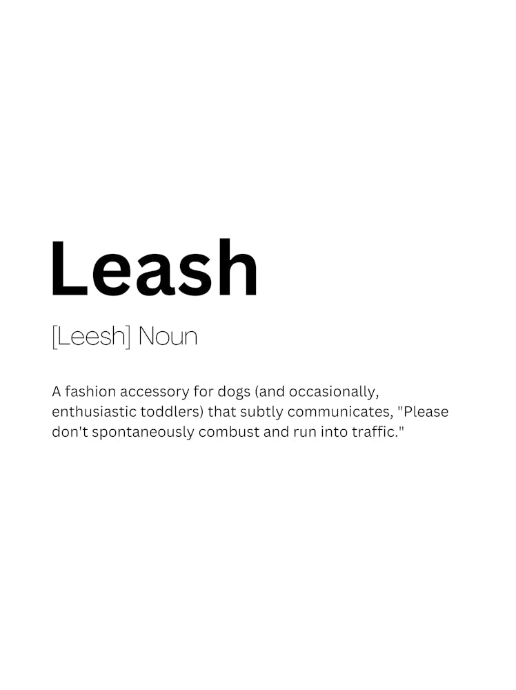 Leash Definition Meaning