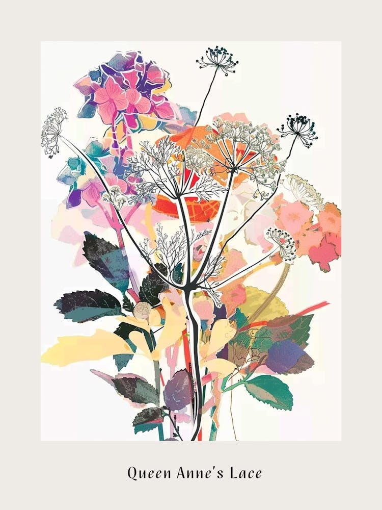 Queen Anne S Lace 1 Collage Flower Bouquet Poster