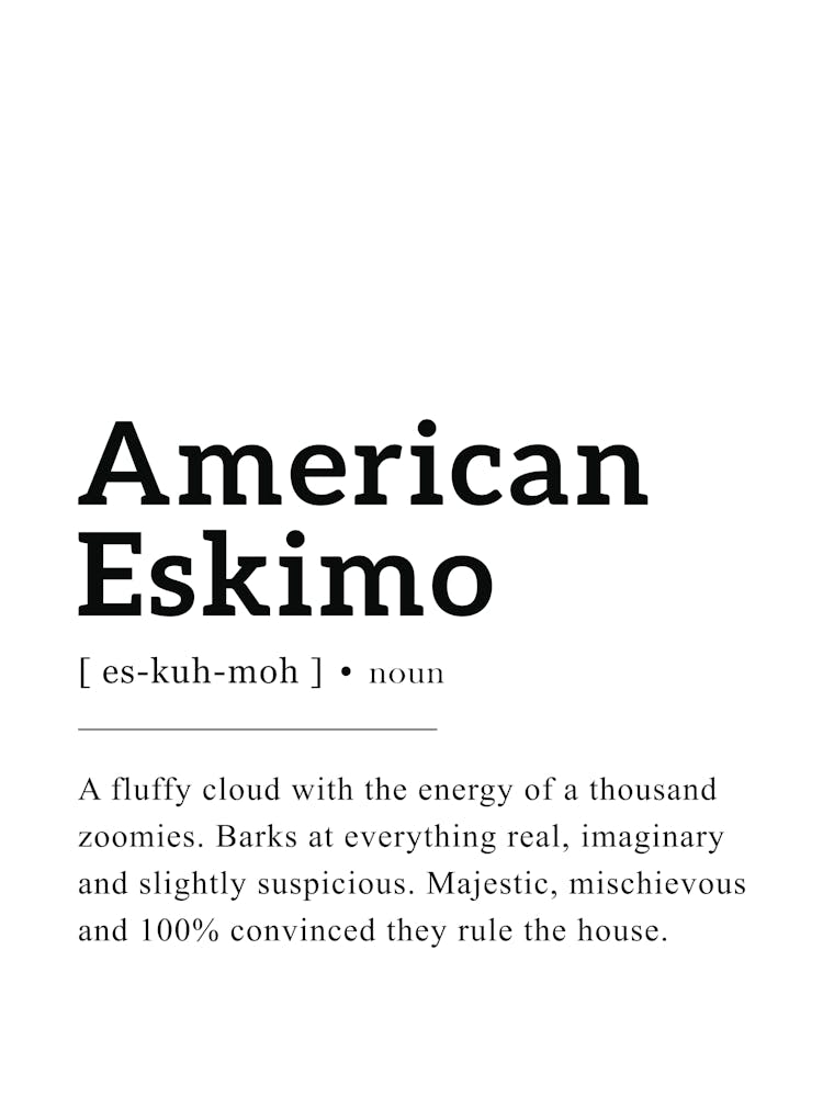 American Eskimo Dog Definition Poster - Dictionary