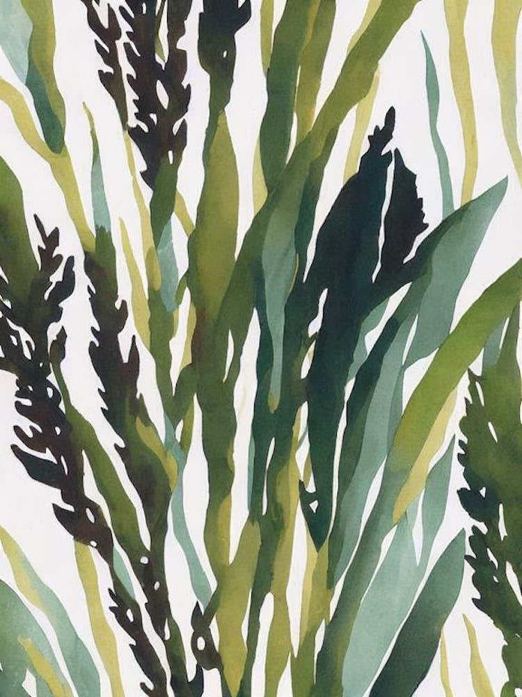 Acropora Sarmentosa Vintage Graphic Watercolour