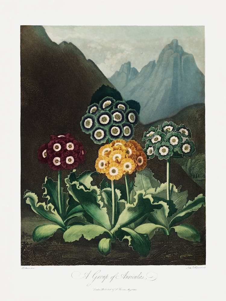 Vintage Botanical Temple Of Flora _2476820