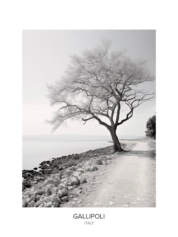 Poster Of Gallipoli, Italy, Black And White Photo 3