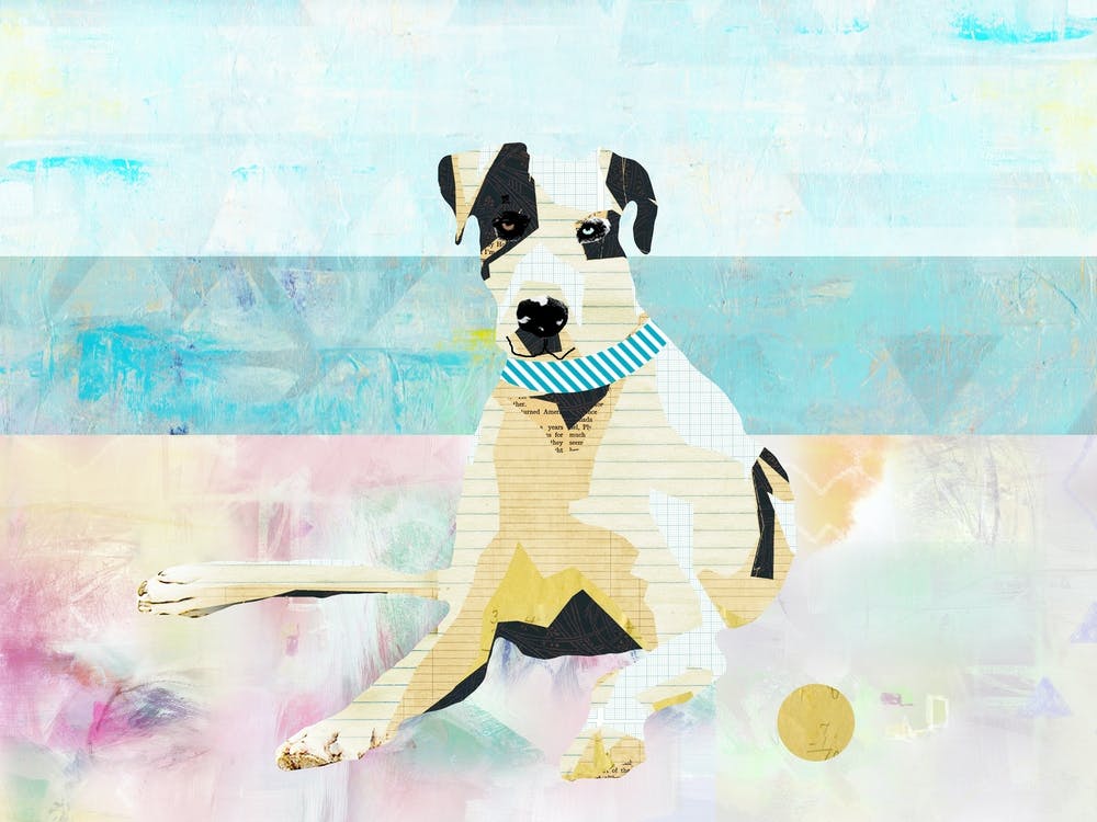 Great Dane Beach Collage