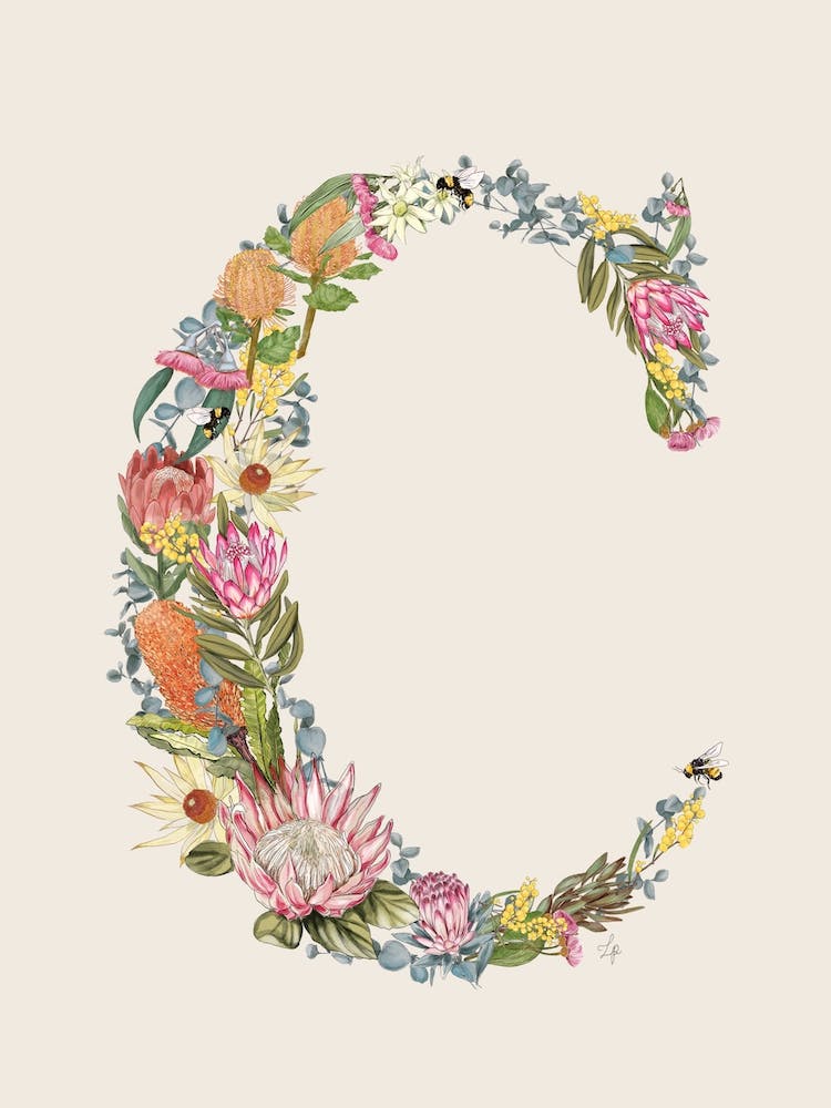 C Oat Alphabet Letter