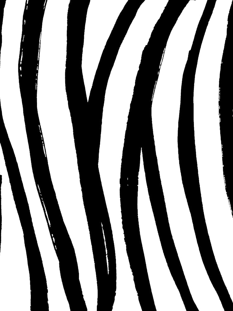 Zebra Stripes 9
