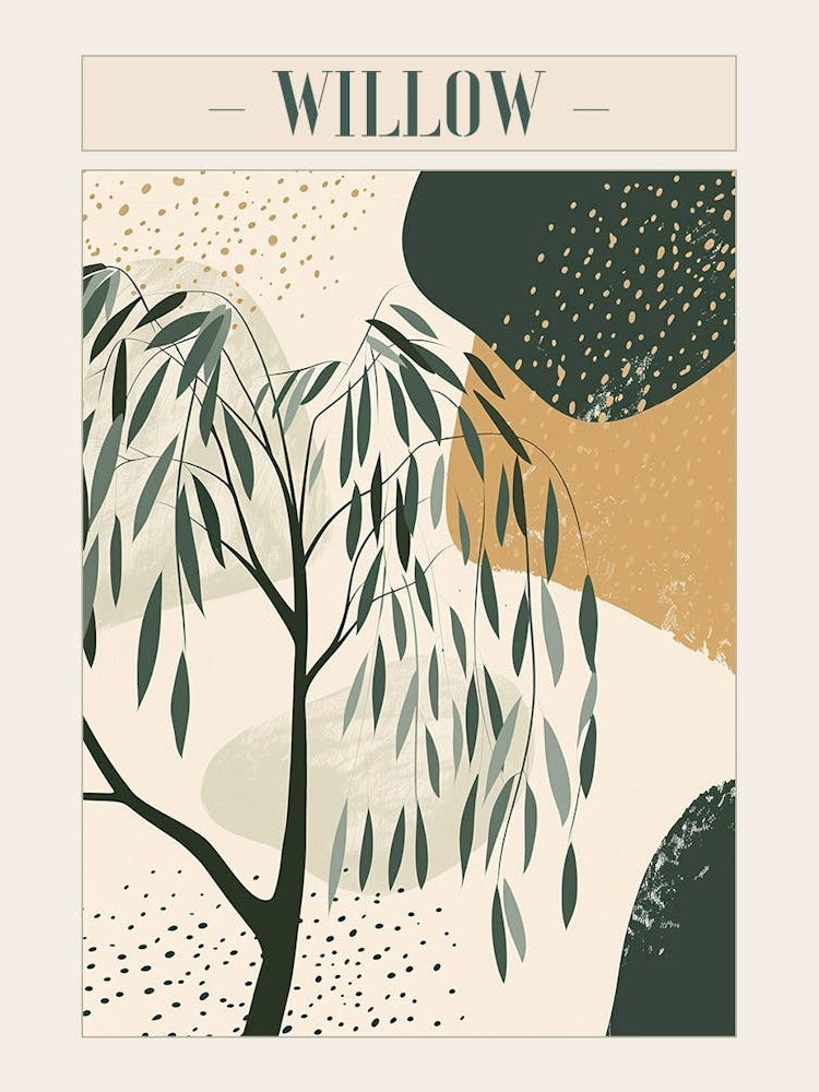 Willow Tree Minimal Japandi Illustration 2 Poster