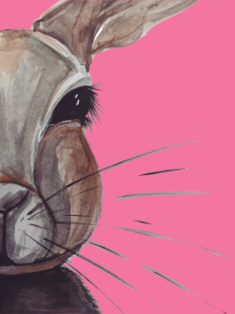 Bunny Rabbit Pink Watercolour Illustration Wildlife