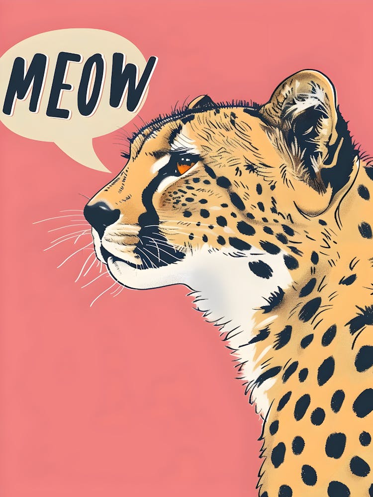 Meow Canvas Print