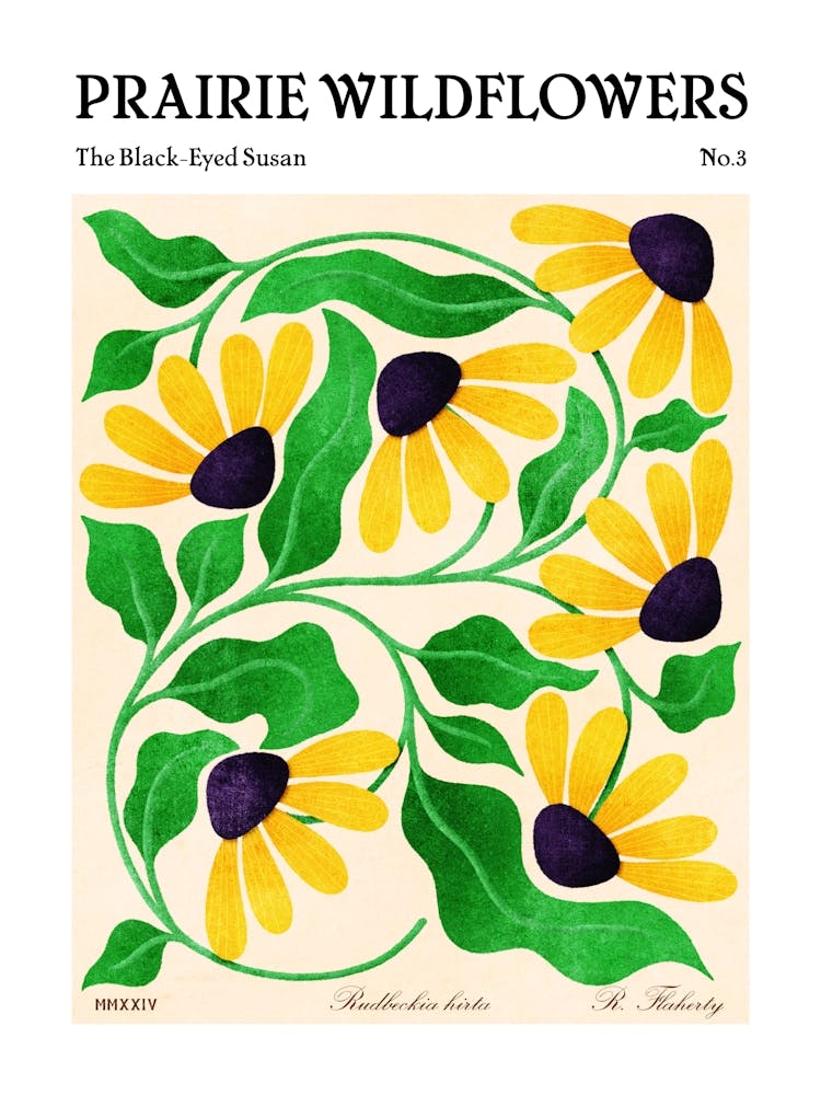 Prairie Wildflowers The Black Eyed Susan
