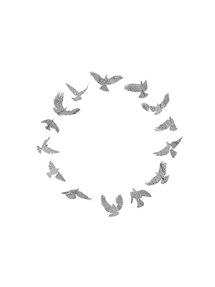 Circle Of Flight