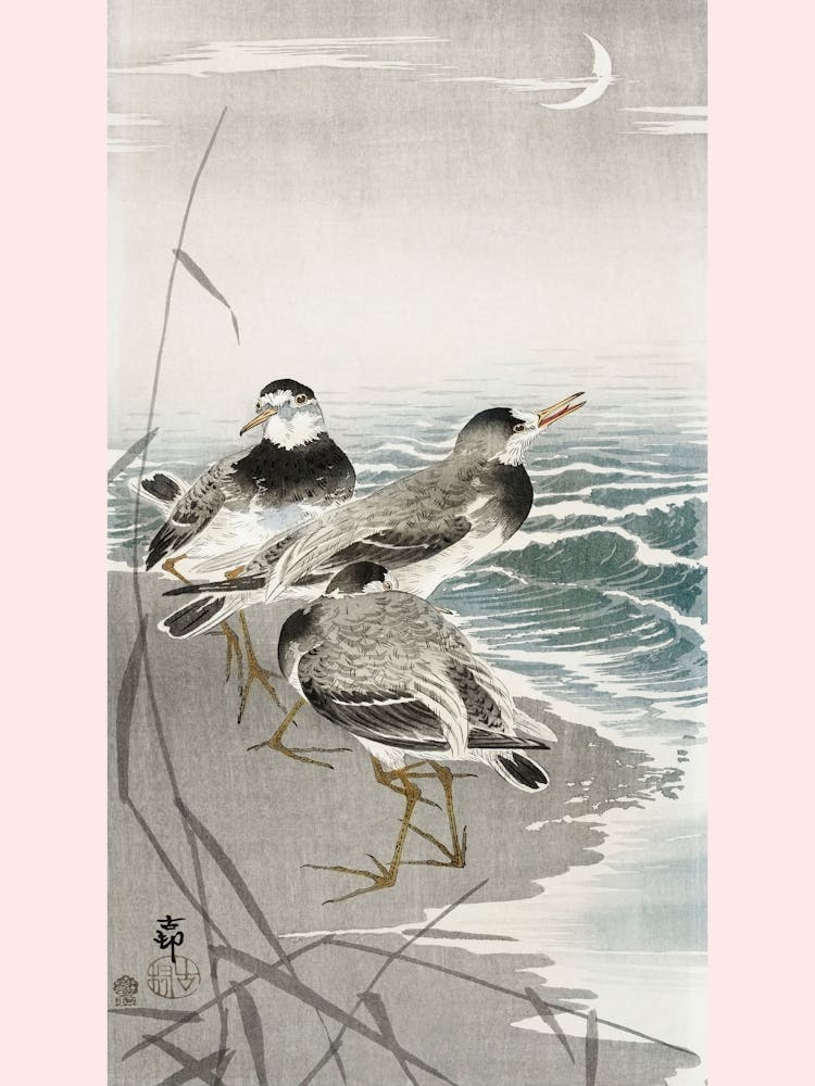 Oeverlopers At Sickle Moon (1900 1910), Ohara Koson