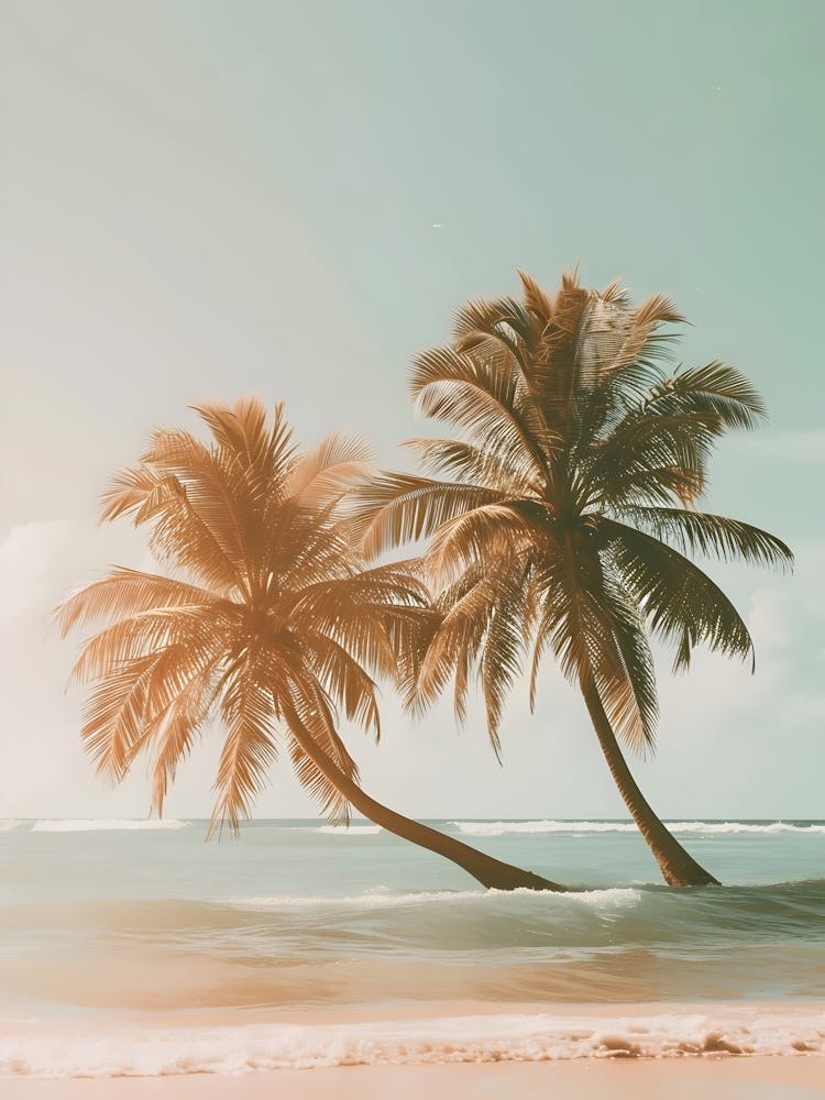 Two Palm Trees On The Beach 1