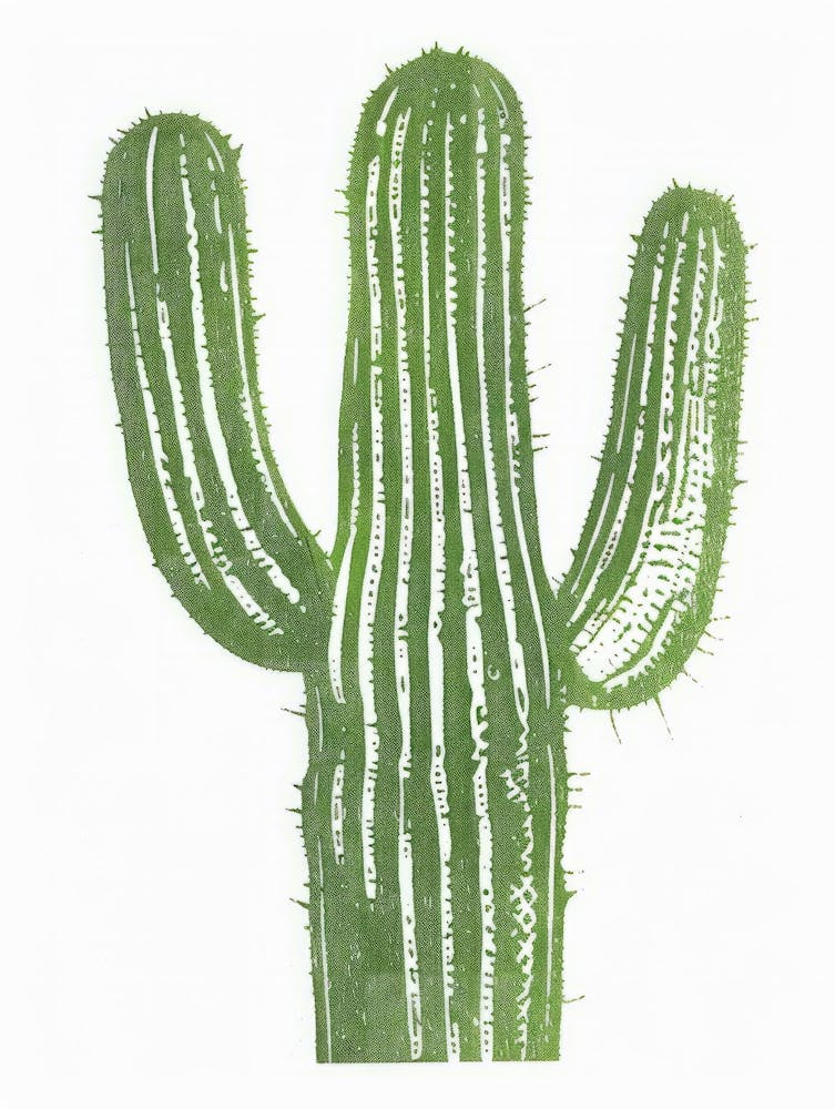 Cactus 13