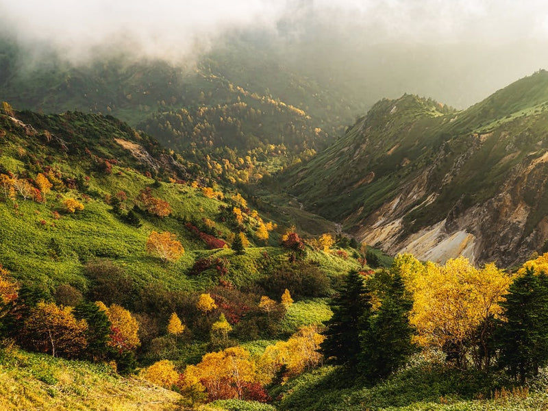 Alpine Autumn