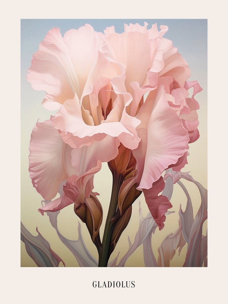 Floral Illustration Gladiolus 2 Poster