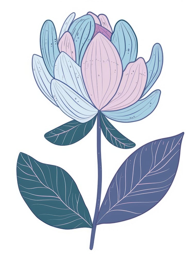 Lotus Flower 7
