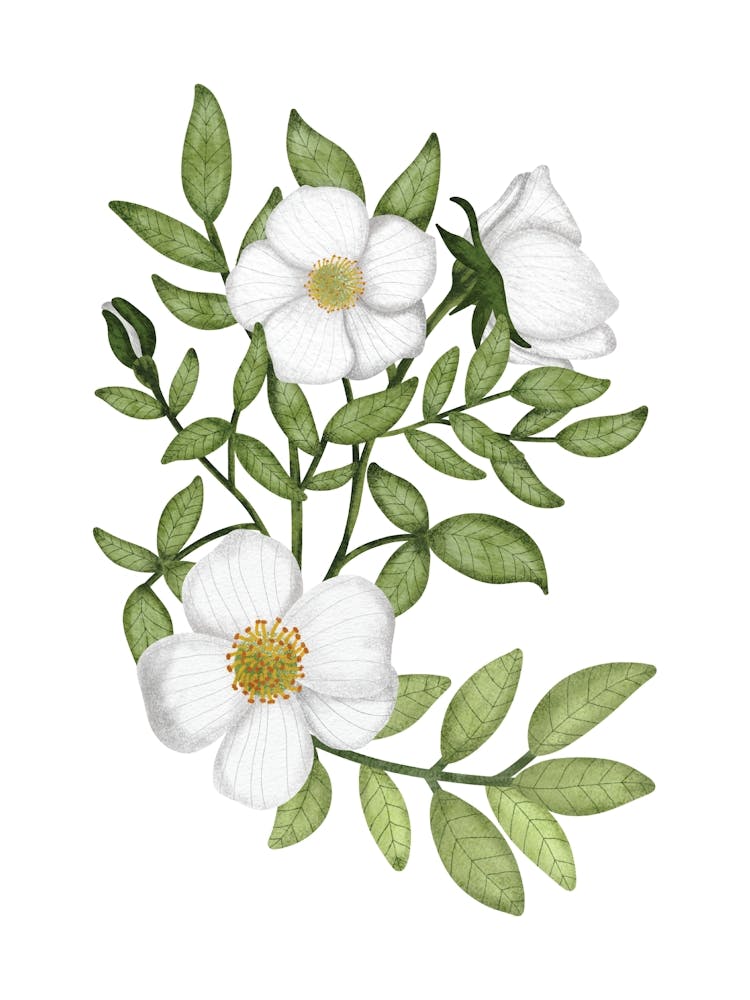 Summer flower bouquet