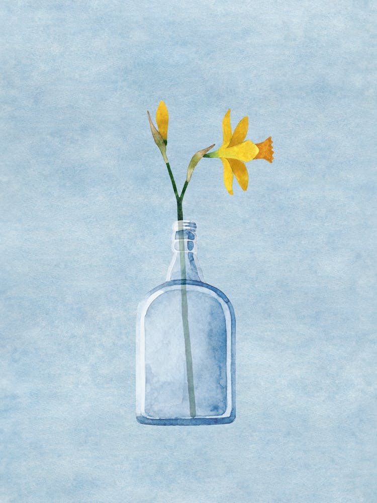 Daffodil In A Bottle
