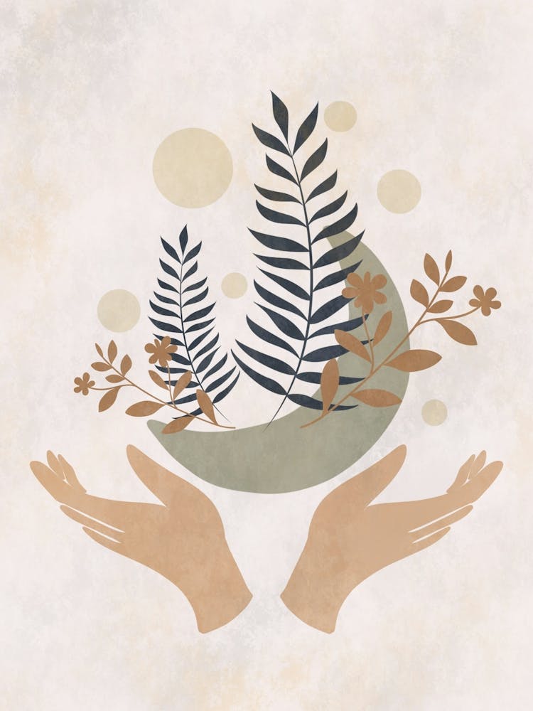 Ferns And Leaves 1