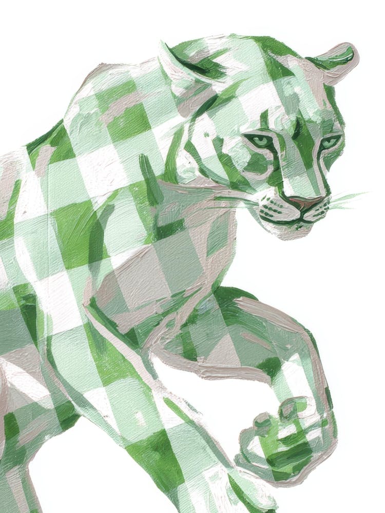 Cheetah 101