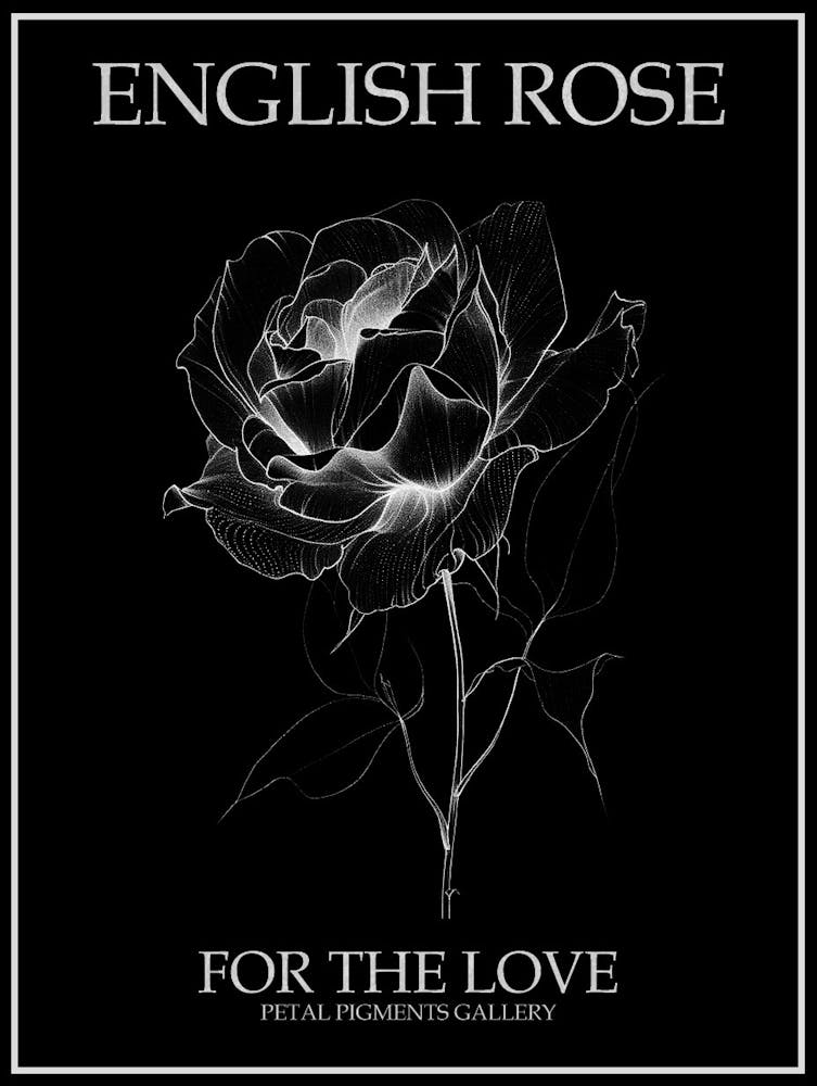English Rose Black And White Line Drawing 11 Poster Inverted