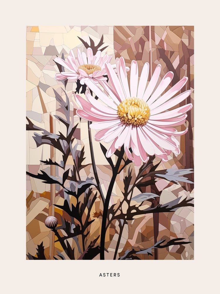 Flower Illustration Asters 4 Poster