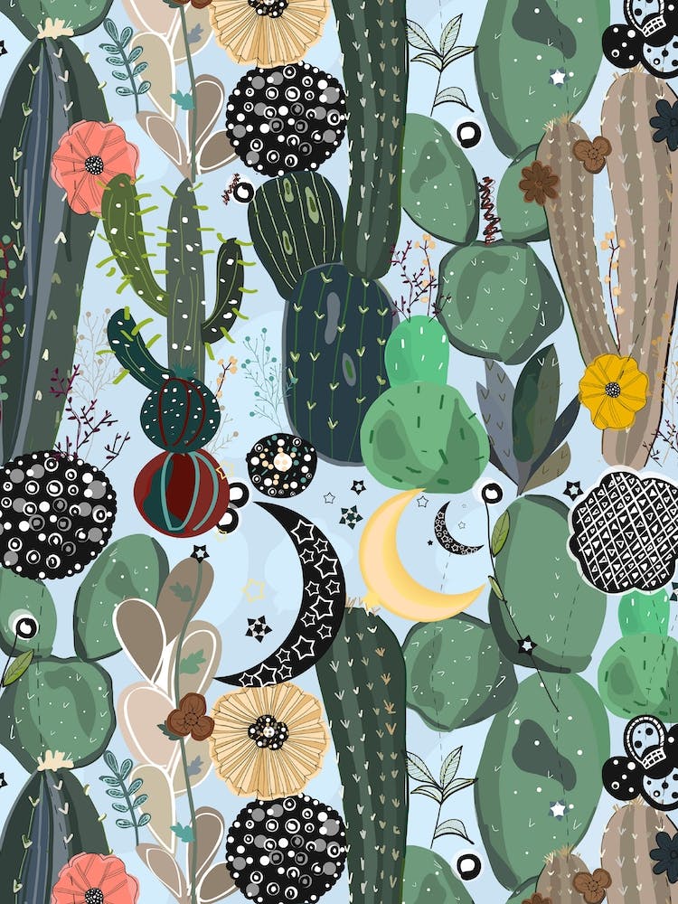 Succulents Moon Stars