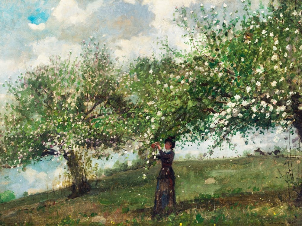 Girl Picking Apple Blossoms, Winslow Homer