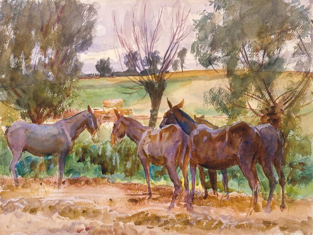 Mules (1918), John Singer Sargent