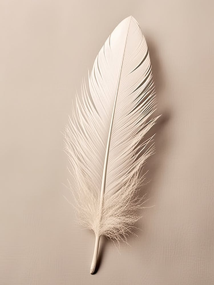 White Feather 4