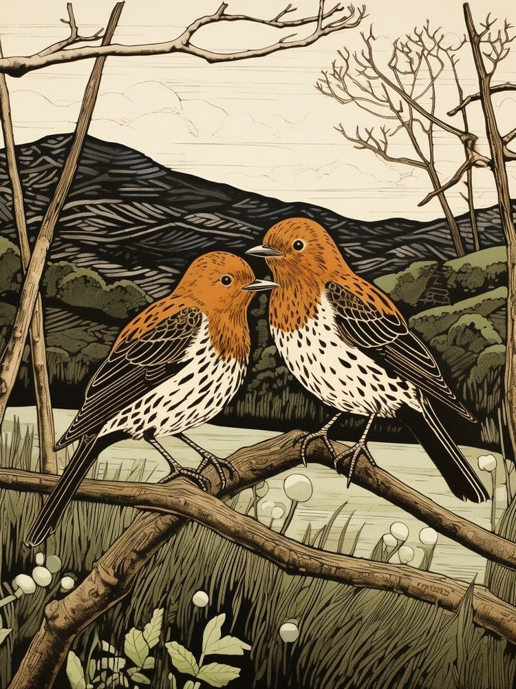 Art Nouveau Birds Poster Dunlin 1