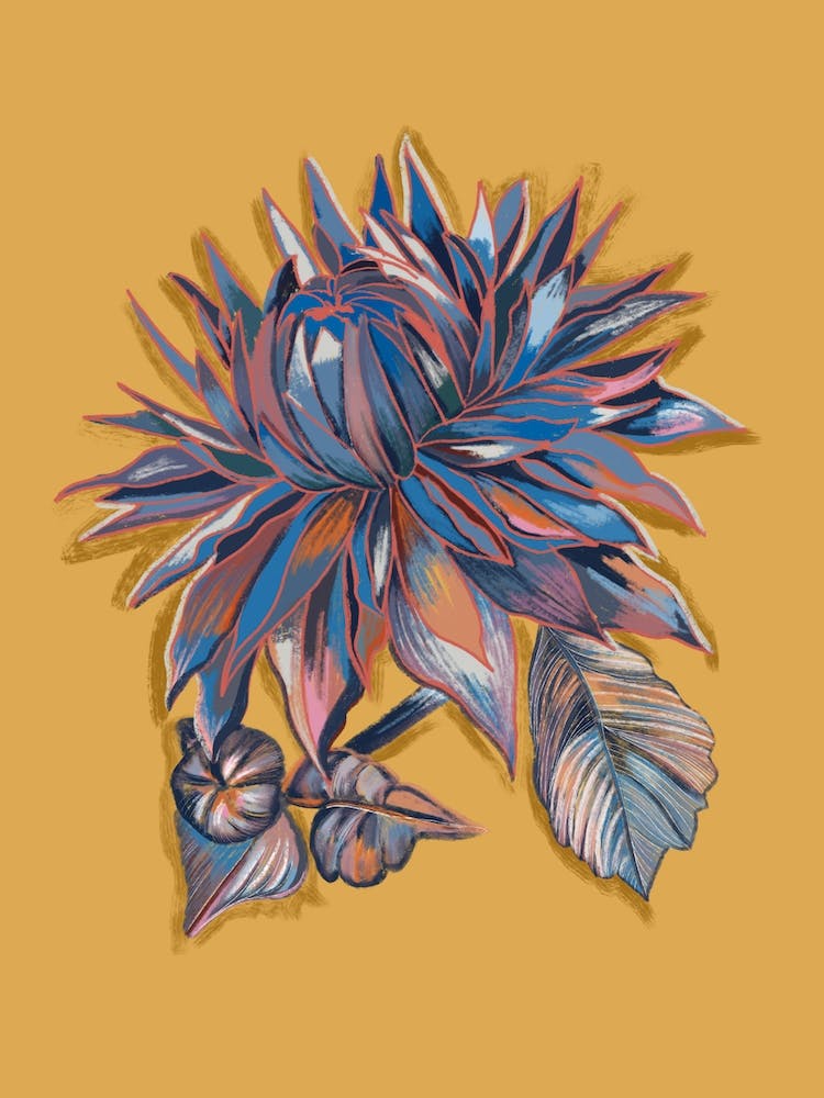 Artistic Dahlia