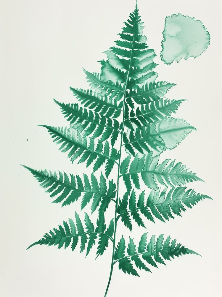 Green Ink Painting Of A Boston Fern 3